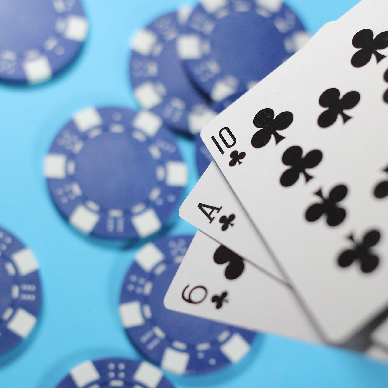 tg916 Live Casino Tables